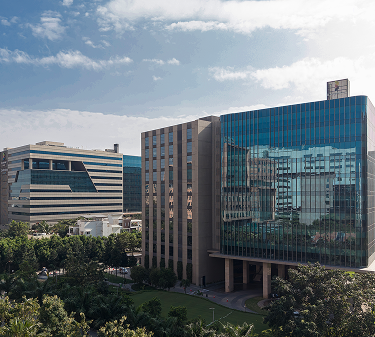 Green-Nature-picture-mob